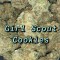 Girls Scout Cookies